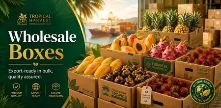 Wholesale Boxes