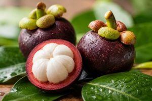 Mangosteen