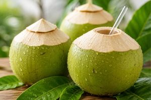 Young Coconut